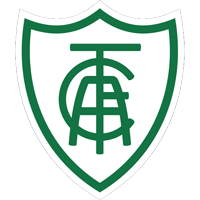 29-11-2023 - Palmeiras 4x0 América-MG - Campeonato Brasileiro 2023 -  Verdazzo