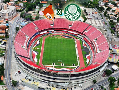 Pré-jogo SPFC xPalmeiras