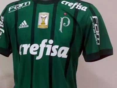 32 melhor ideia de Palmeiras não tem mundial  palmeiras não tem mundial,  palmeiras piada, palmeiras