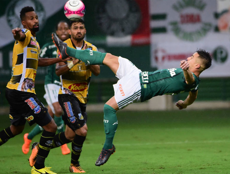 Palmeiras 5x0 Novorizontino