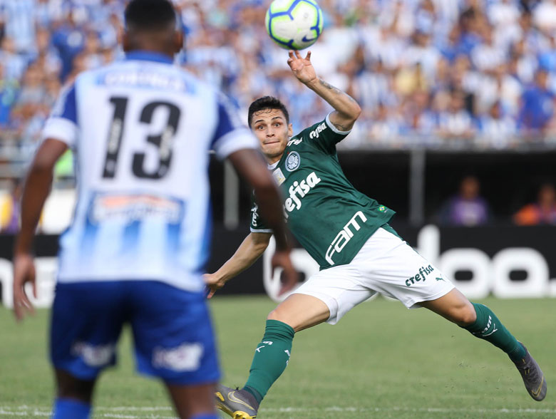 CSA 1x1 Palmeiras