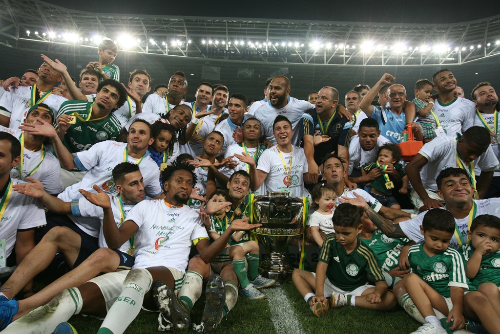 Campeão Copa do Brasil 2015