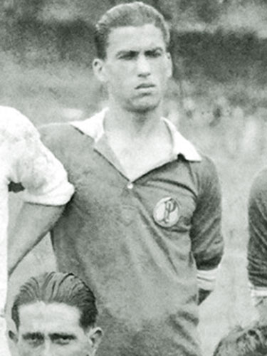 Angelino
