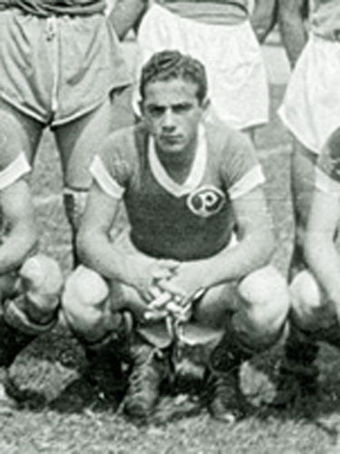 Dino Sani