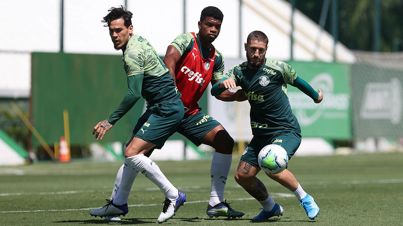 Gustavo Gómez e Zé Rafael