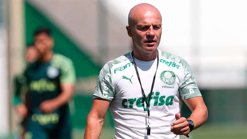 Vitor Castanheira comandará o Palmeiras na partida contra o Cuiabá