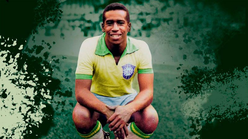 Com três títulos no currículo pelo Palmeiras, Dario atuou entre os 1965 a 1967 no Verdão.