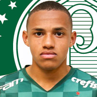 29-11-2023 - Palmeiras 4x0 América-MG - Campeonato Brasileiro 2023 -  Verdazzo