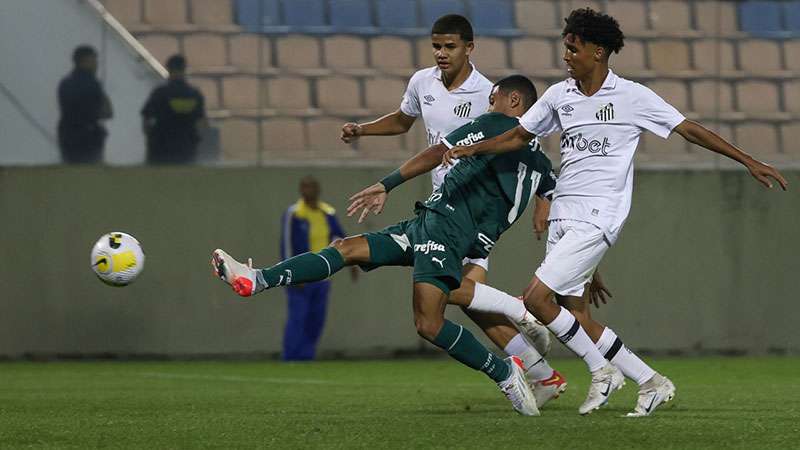 Pelo Brasileiro, Grêmio é superado pelo Botafogo na Arena