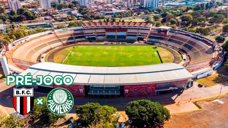 Pré-jogo Botafogo-SP x Palmeiras