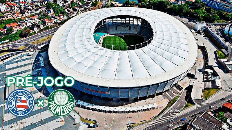 Pré-jogo Palmeiras x Bahia - Campeonato Brasileiro 2023