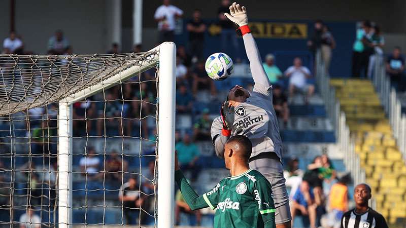 Golaço e goleada: Palmeiras vence Botafogo e avança à semifinal do Brasileiro Sub-20.