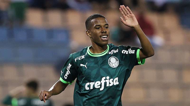 Luis Guilherme decide, Palmeiras vence o Grêmio e conquista o título do  Campeonato Brasileiro Sub-17