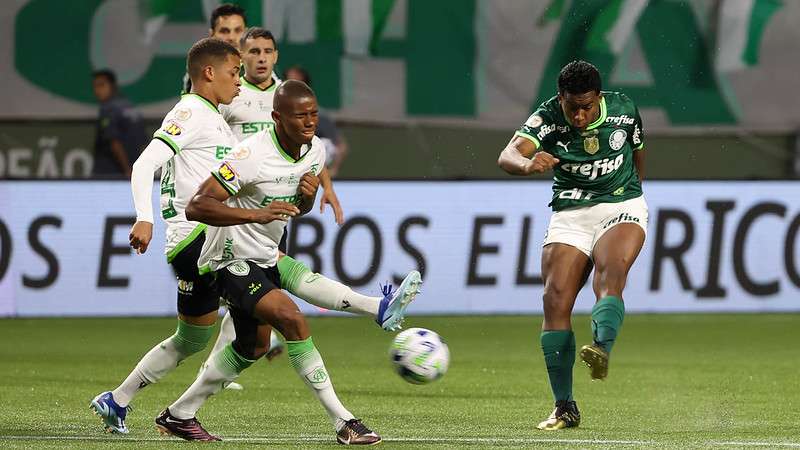 29-11-2023 - Palmeiras 4x0 América-MG - Campeonato Brasileiro 2023 -  Verdazzo