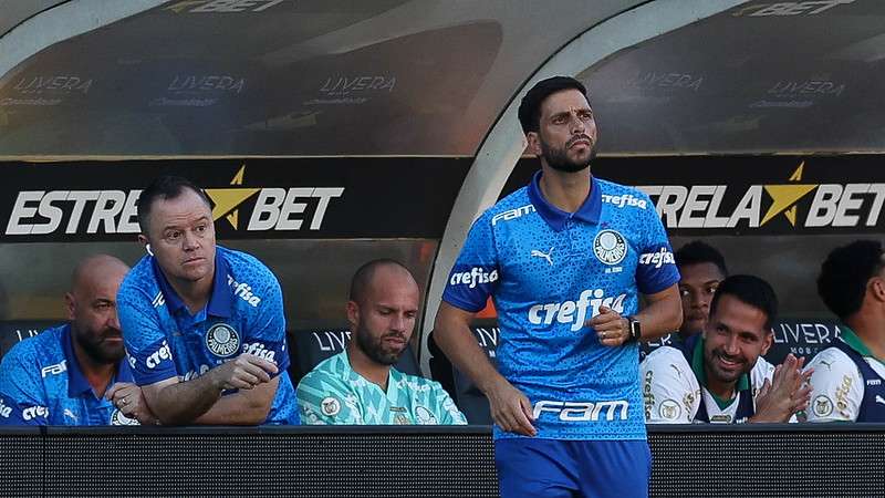 Carlos Martinho em jogo do Palmeiras contra o Criciúma, durante partida válida pela sétima rodada do Brasileirão 2024, no Estádio Heriberto Hülse.
