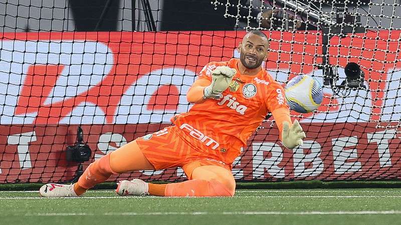 Weverton em jogo do Palmeiras contra o Botafogo, durante partida válida pela décima sétima rodada do Brasileirão 2024, no Nilton Santos.