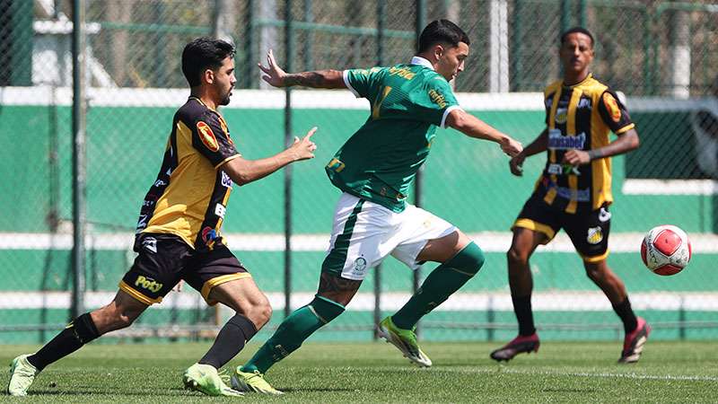 Palmeiras Sub-20 e Sub-15 triunfam nas categorias do Paulista.