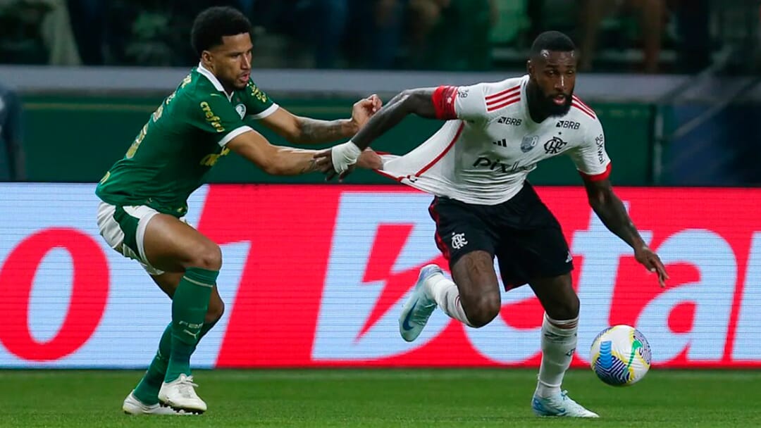 Palmeiras e Flamengo ocupam o topo do futebol brasileiro,