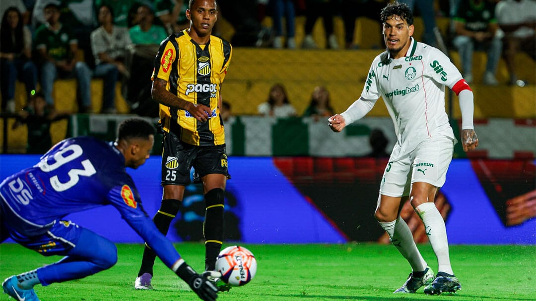 Novorizontino 4x0 Palmeiras