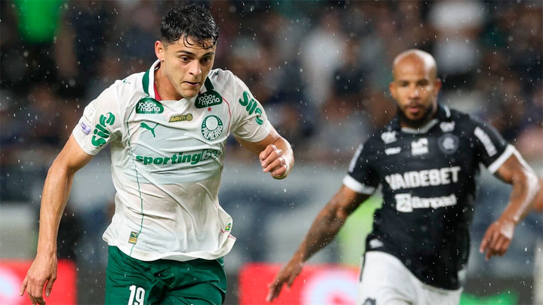 Remo 1x1 Palmeiras